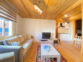 Historical Duplex Villa with Closed Patio in Beyoglu